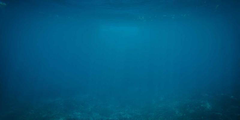 平台和传统方法对比评测
